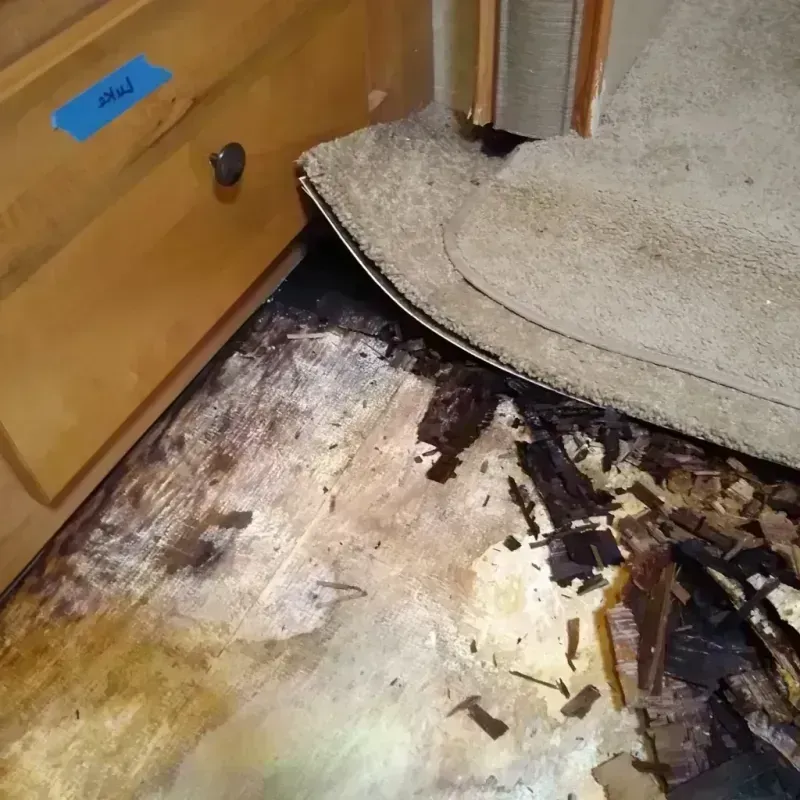 Wood Floor Water Damage in Planada, CA